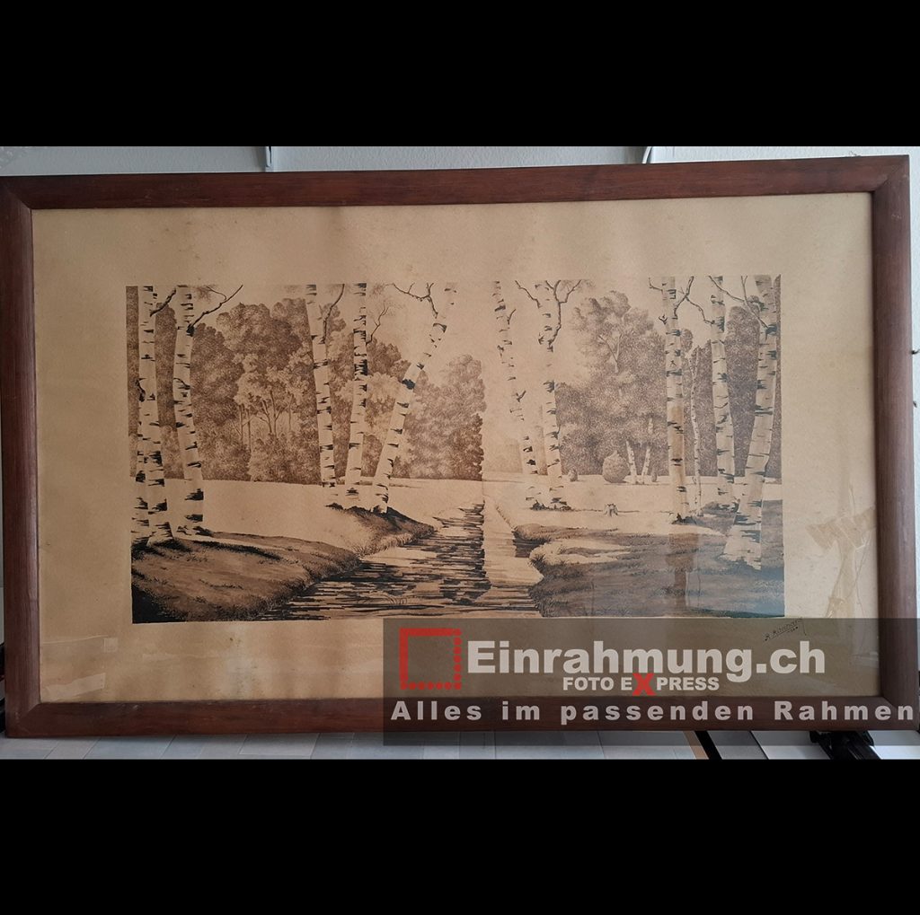 Alter Holzrahmen mit normalglas _ Birken Bäume-Vorher