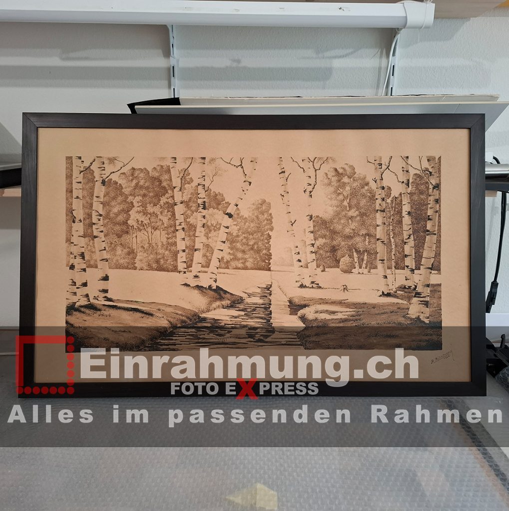 Rahmen Holz Mit UV70 Museumsglas_ Birken Bäume-Nachher