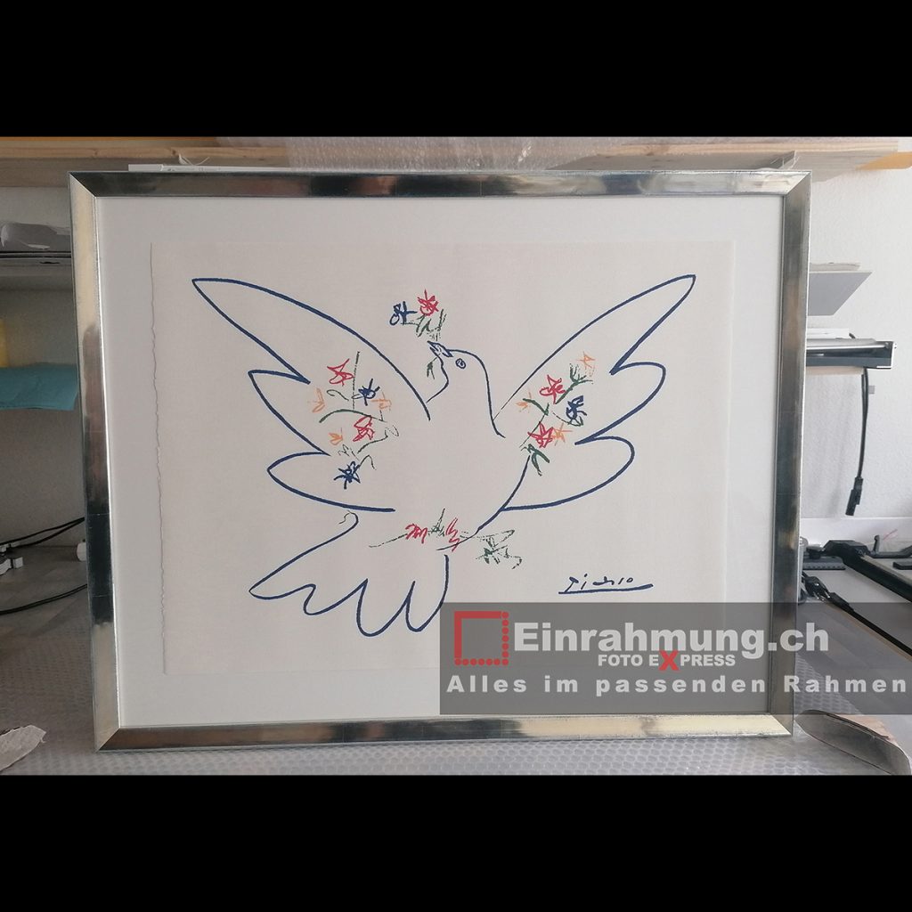 Einrahmung der Friedenstaube von Picasso mit Artglas
